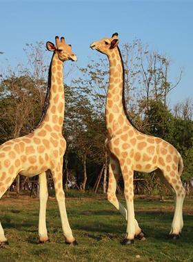 新户外大型仿真长颈鹿玻璃钢雕塑假动物模型园区景观草坪装饰摆件