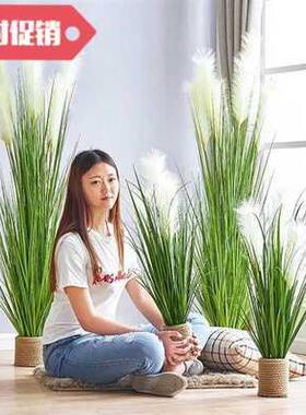 好货new large nordic traveler banana simulation green plant