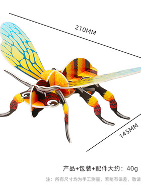 3D昆虫拼装生物模型 科学实验器材科技小制作diy学生生物科普玩具