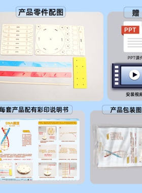 diy科技小制作人体基因DNA双螺旋模型 生物科学实验器材科普教具