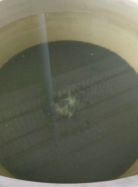 球形高盐废水蒸发器 碳钢高盐废水蒸发器 三效酸洗废水蒸发器