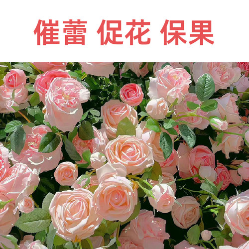 花肥通用养花肥料花卉绿植用氮磷钾复合肥骨粉养花专用肥料家用型 - 图3