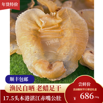 Official Yingying Year goods delivered by Zhanjiang Zhanjiang Zakui Fish Glue Public Belly Dry Goods 50g
