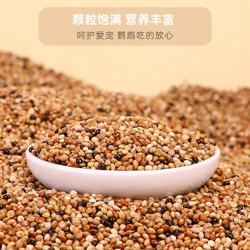 鹦鹉鸟粮饲料谷子牡丹虎皮玄凤粮食文鸟珍珠专用带壳五色黍子鸟食 - 图1