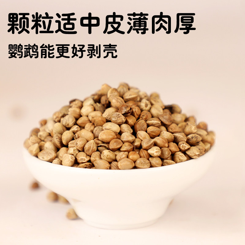 鹦鹉纸壳麻子小太阳和尚奖励零食鸟粮饲料牡丹玄凤专用粮食鸟食,淘宝优惠券,粉丝福利购,淘宝优惠卷