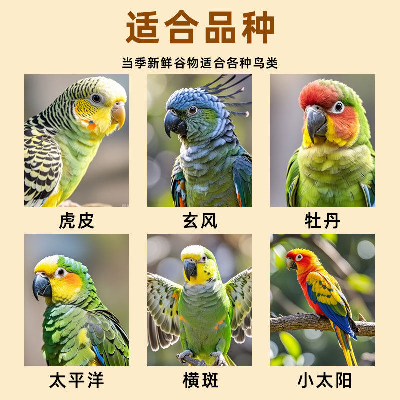 鹦鹉混合粮中小型鸟食牡丹玄凤虎皮鸟粮专用粮食谷子黍子带壳谷子,淘宝优惠券,粉丝福利购,淘宝优惠卷