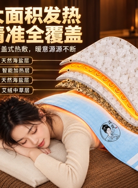海盐热敷包艾草灸电加热腰椎间盘