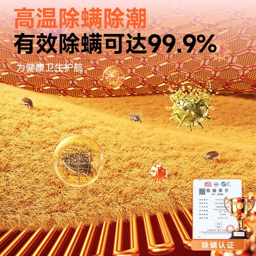 志高石墨烯电热毯电褥子单双人双控调温2026新款正品官方旗舰店 - 图3