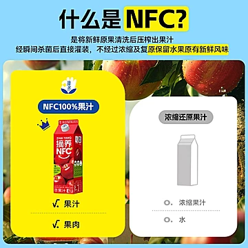 摘养10o%NFC纯苹果芒果黄桃葡萄汁1kg*2盒[10元优惠券]-寻折猪