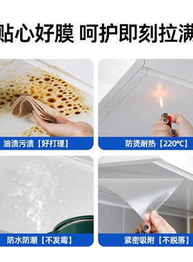 厨房防油蒸汽贴膜|超4000次加购