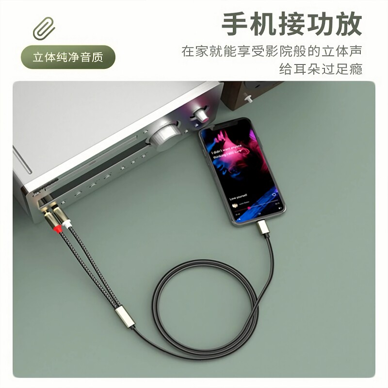 Typec to double lotus audio cable one-to-two RCA plug computer mobile phone adapter audio amplifier lotus head