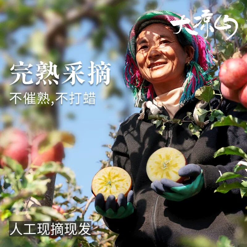 图 4