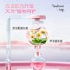 Underwear soap for women's special soap antibacterial home affordable packaging