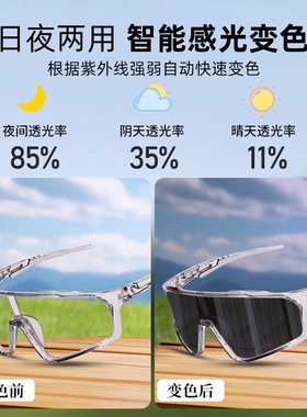 骑行护目镜防风变色日夜两用登山