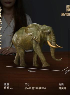 新铜时代《非洲象》纯铜大象摆件吸水招财吉祥玄关客厅办公室装饰