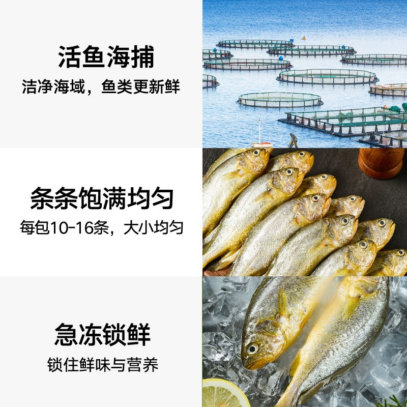 喵满分宁德冷冻三去小黄鱼2kg（500g*4包）,淘宝优惠券,粉丝福利购,淘宝优惠卷