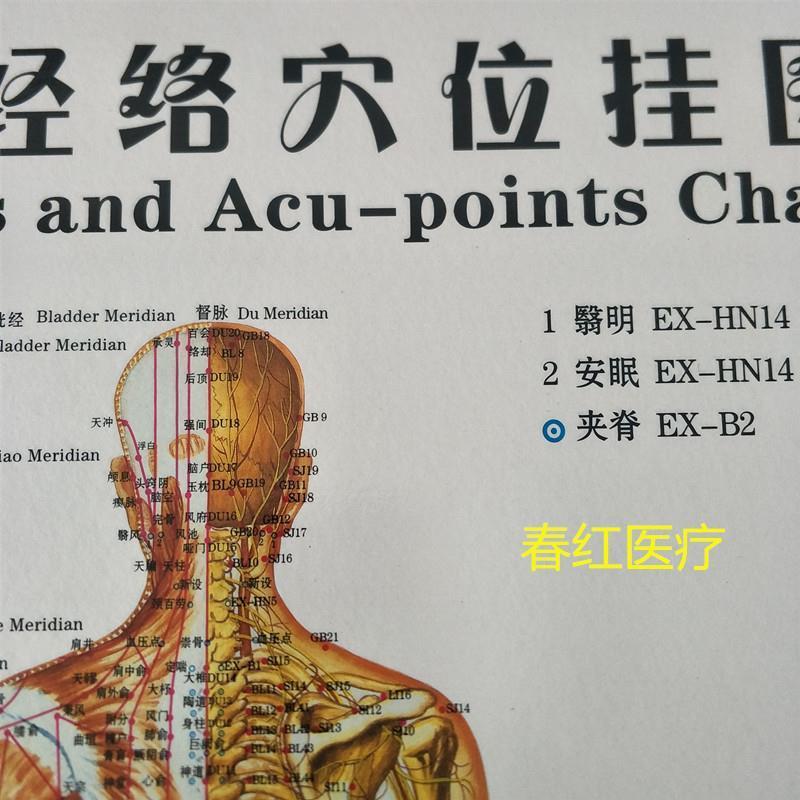 人体经络穴位挂图标准穴位图针灸挂图国标版清晰经络挂图一套三张-图2