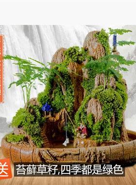 极速厂销厂促可狄吸水石盆景假山流水摆件家居上水石Y摆件雕刻石