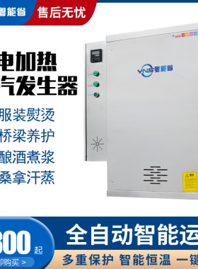 新品商用电e蒸汽发生器服装熨烫厂蒸煮酿酒豆制品豆腐自动温控蒸