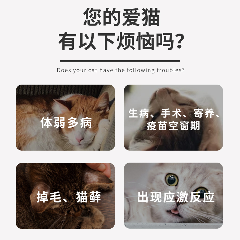 博力健多肽免疫因子猫咪转移因子口服液猫抗病毒感染猫得利-图2