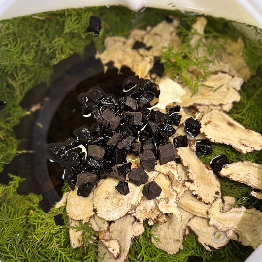 纯植物侧柏叶育发液养发增发液