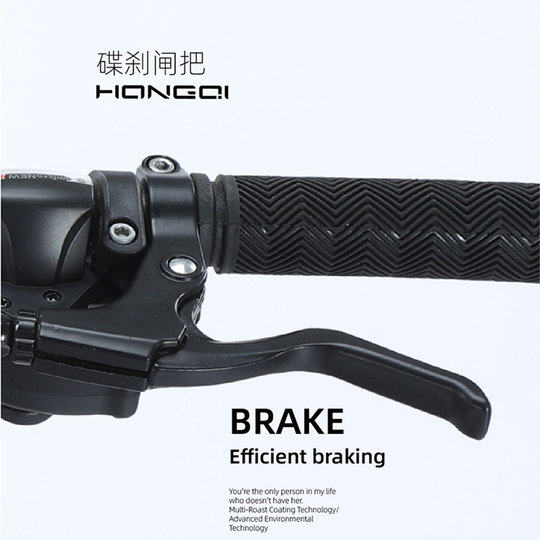 China Hongqi aluminum alloy disc brake men's and women's mountain bikes