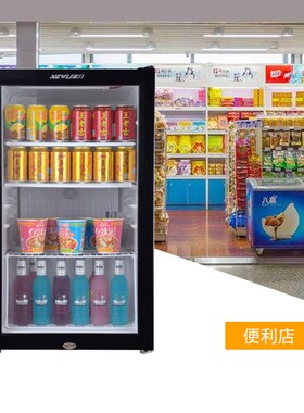 新品新力110L商用立式冷藏展示柜保鲜柜J茶叶冰箱单门冰箱饮料柜