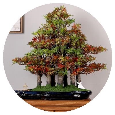 新品创意真迎客松盆景中式客厅大型F绿植室内电视柜景观装饰摆件