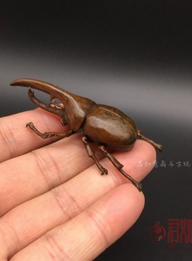 新品仿古纯铜独角l仙摆件日式茶宠迷你甲壳虫昆虫把件铜虫子甲虫