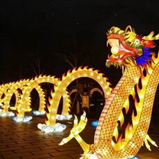 Фонарь 湖南花灯彩灯造型 龙型花灯 龙年行大运 灯光气氛造型亮化产品