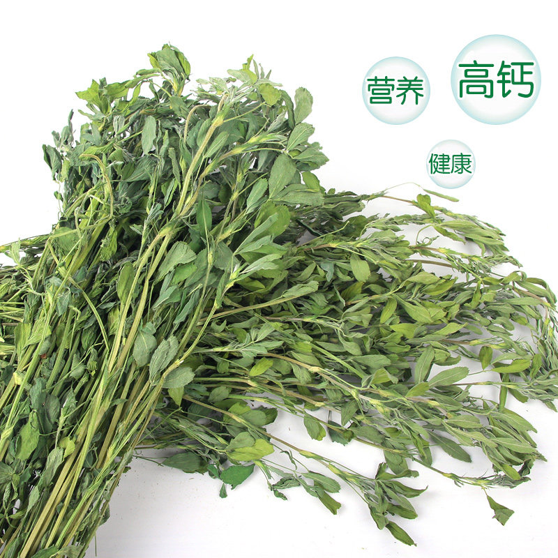 极速苜蓿草干草幼兔兔子草新鲜豚鼠龙猫荷K兰猪提摩西草兔粮兔饲,淘宝优惠券,粉丝福利购,淘宝优惠卷