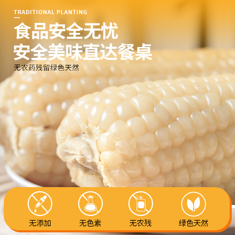 东北新鲜白糯黏香甜玉米大棒即食粘苞米根非转基因粗粮代餐250g10 - 图2