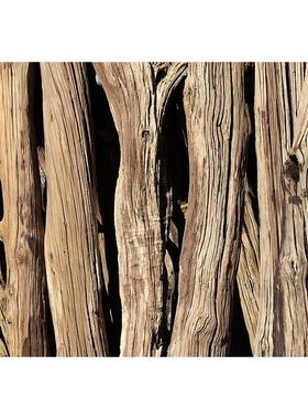 家居枯木摆件 风化栎木树干装饰 庭院枯木树杆 店铺实木装修配件