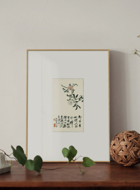 石涛花卉册 新中式字画小幅花卉植物装饰画日式客厅玄关茶室挂画