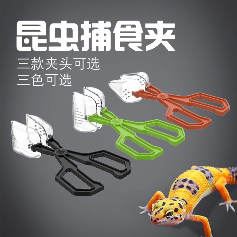 nomoypet诺摩捕虫夹爬虫蜘蛛面包虫杜比亚蟋蟀蟑螂透明夹子工具,淘宝优惠券,粉丝福利购,淘宝优惠卷