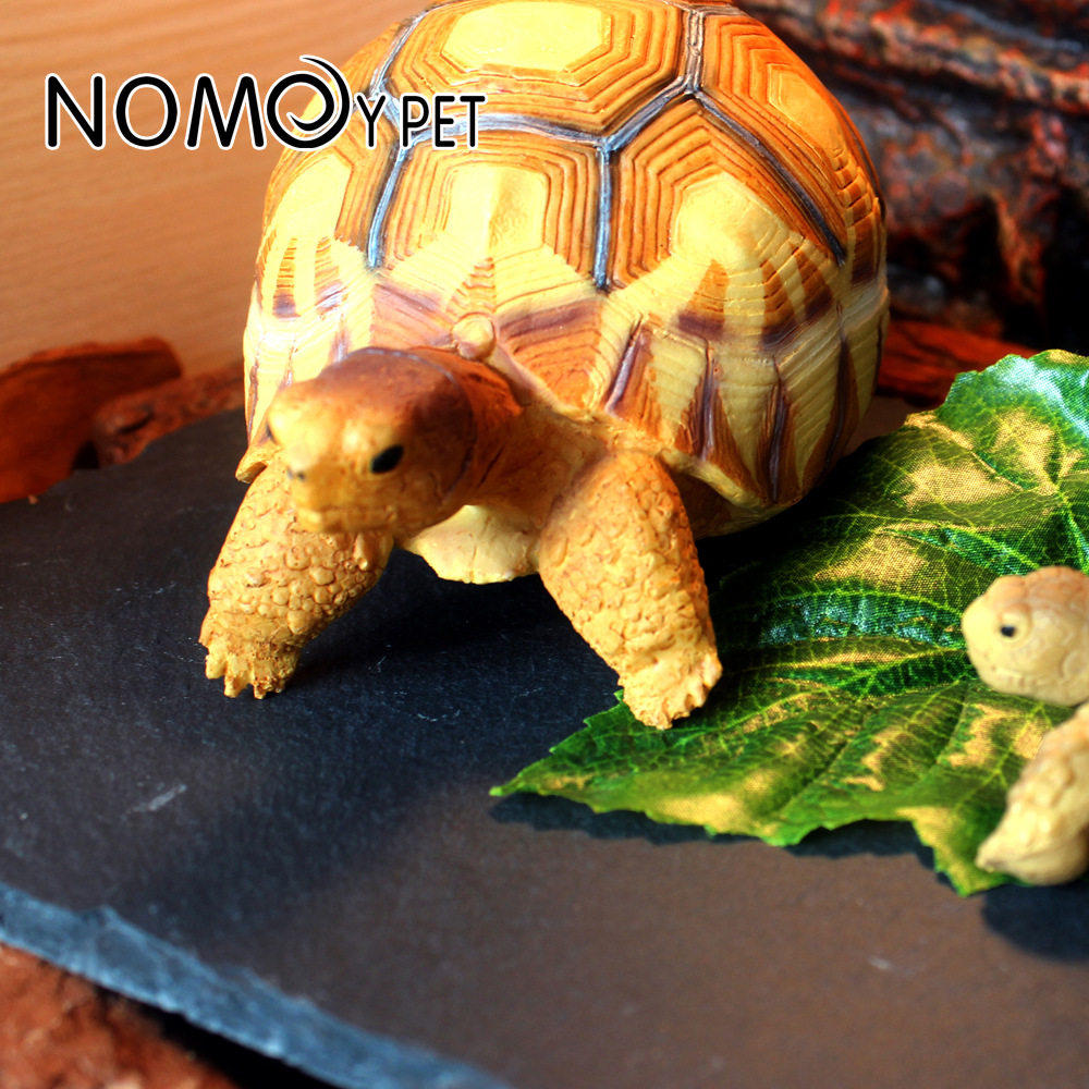 NOMOYPET诺摩龟板石板爬宠箱爬虫箱陆龟食盘食盆保湿保温磨甲岩板,淘宝优惠券,粉丝福利购,淘宝优惠卷