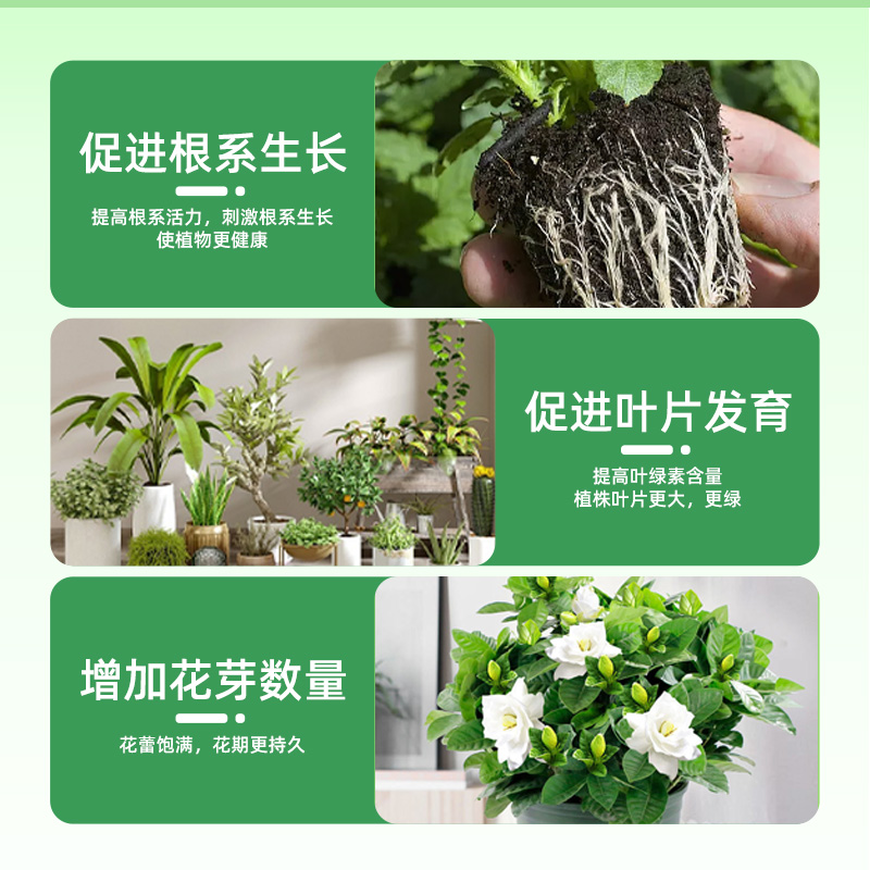 CIFO齐芙水溶肥通用型磷酸二氢钾植物叶面盆栽冲施肥促花复合肥料 - 图2