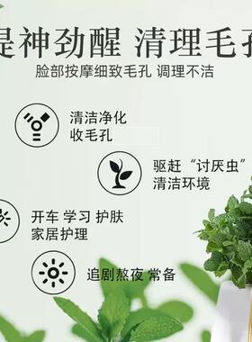 薄荷精油100ml天然驱虫蚊香薰提神醒脑清洁毛孔植物单方精油