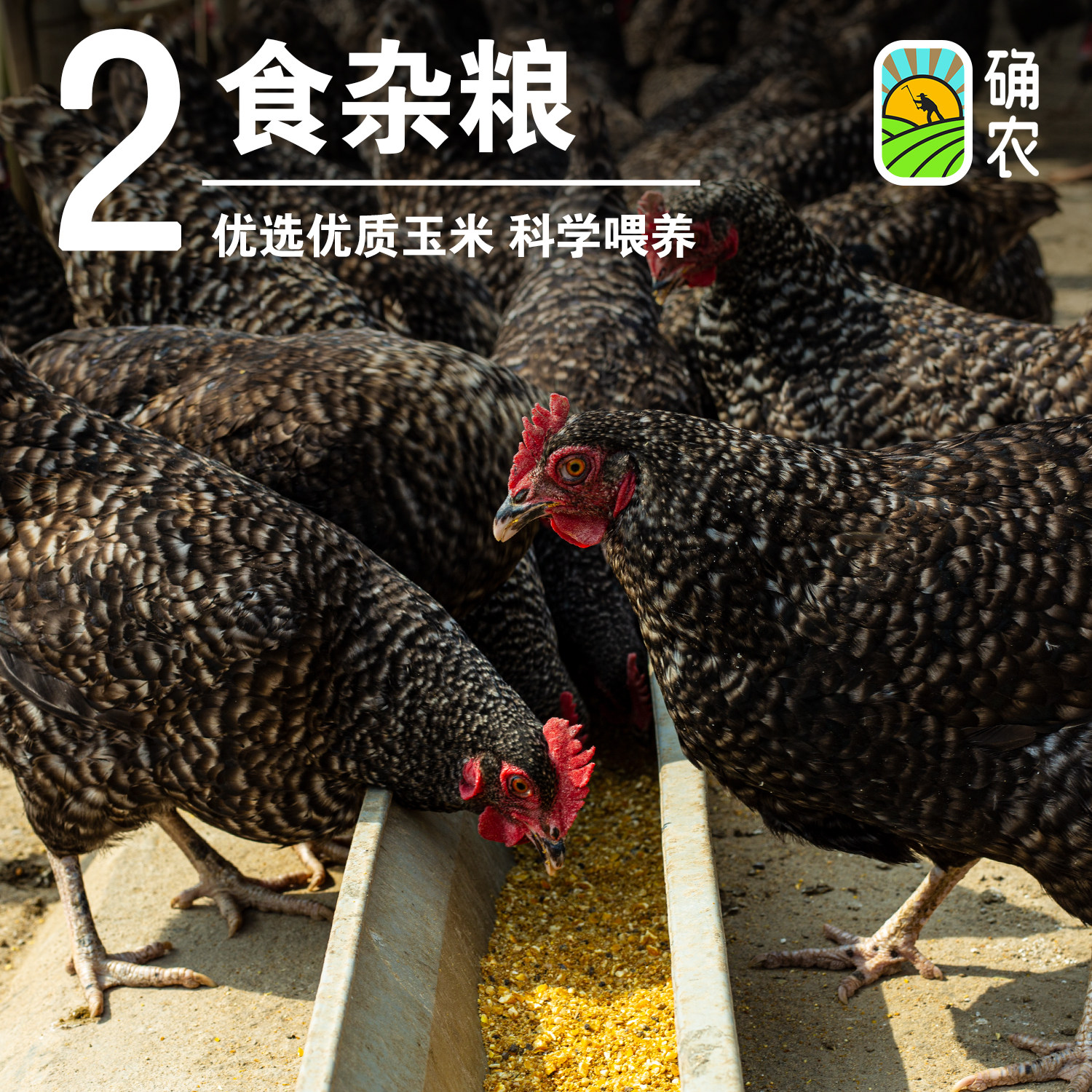 图 3