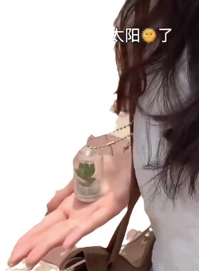 速发多肉绿栽侣试管绿色植物微缩景观迷你盆植挂件闺蜜情扣小礼物