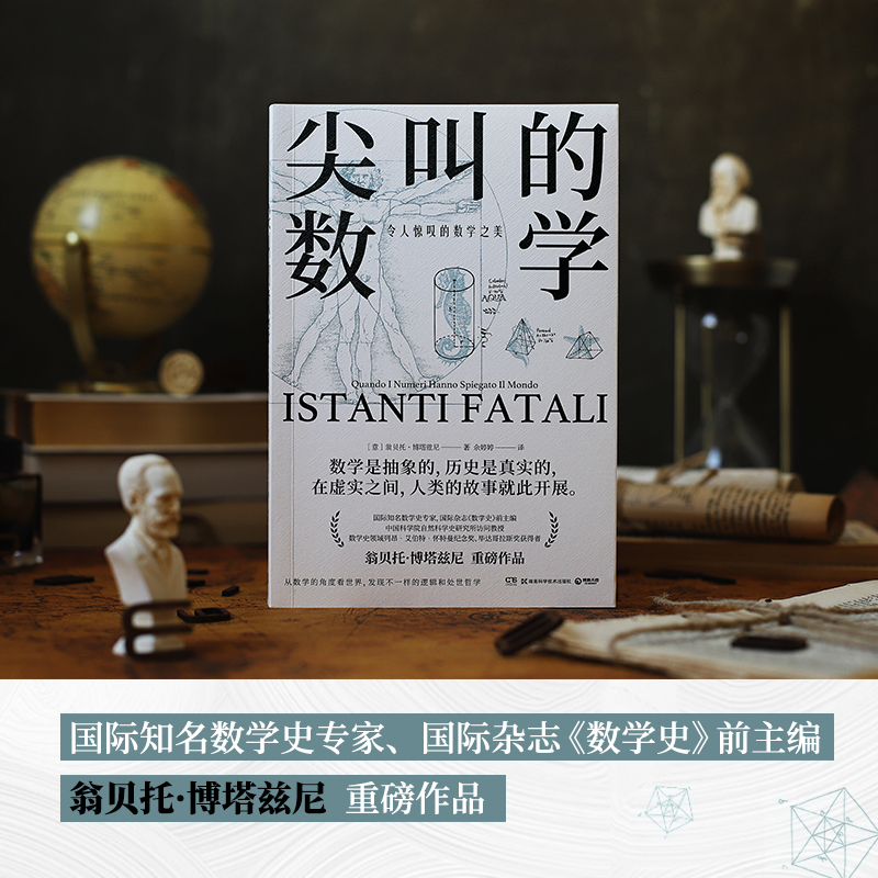 尖叫的数学：令人惊叹的数学之美 翁贝托·博塔兹尼通俗的数学史读物以讲故事的方式为读者展示了改变了数学历史博集天卷 - 图1
