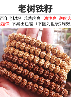 梅花桩小金刚飞碟满肉双龙纹小金刚菩提子手串单S圈大规格手链男