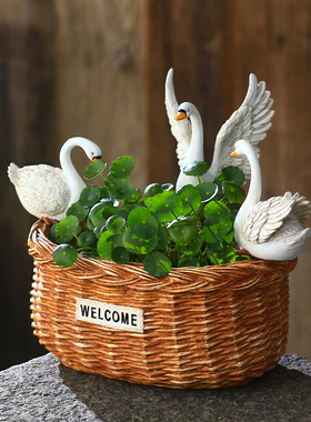 速发创意铜钱草碗莲水培花盆天鹅花园庭院客厅家居民宿装饰品造景