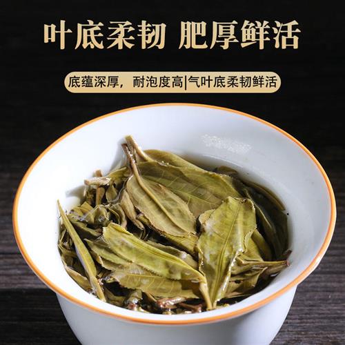 整提1000g冰岛普洱茶生茶饼云南生普洱茶特级纯料早春临沧茶叶5片 - 图2