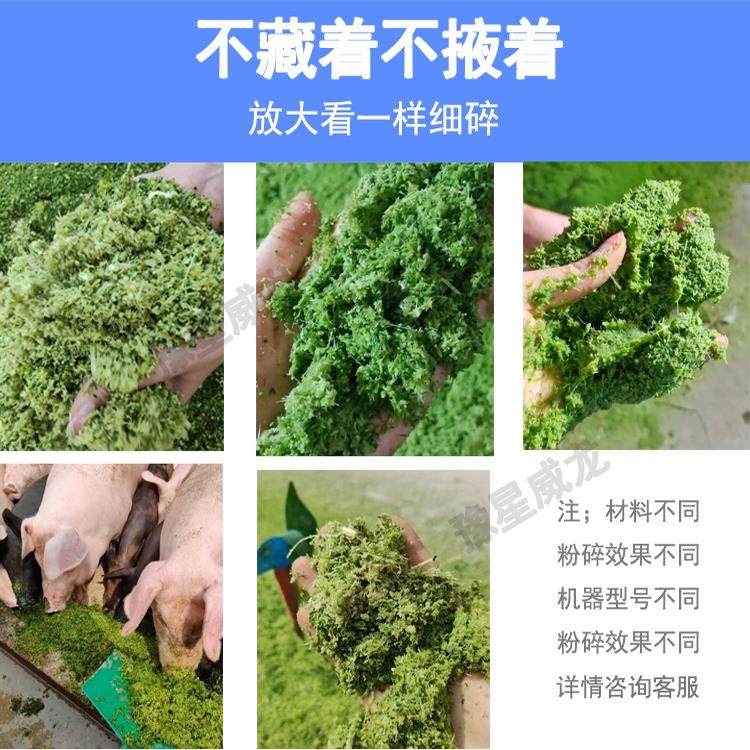 超细牧草打浆机小型家用多功能粉碎机干湿两用鸡鸭鹅猪秸秆铡草机,淘宝优惠券,粉丝福利购,淘宝优惠卷