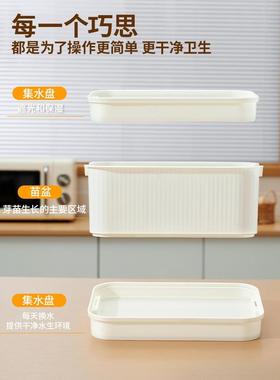 豆芽发盆水培蔬菜豌苗种