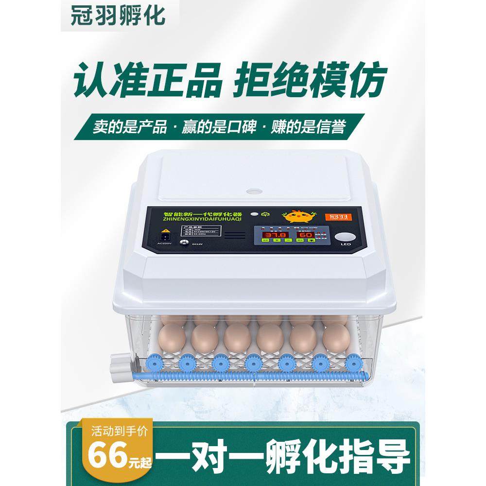 孵化温控器观察鸡苗小型家用鸟类机全自动小鸡儿童芦丁,淘宝优惠券,粉丝福利购,淘宝优惠卷