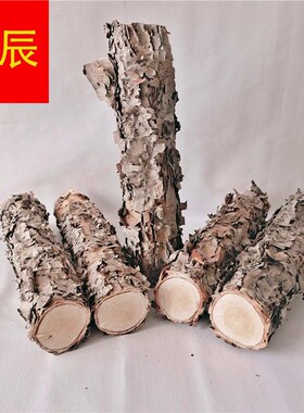 极速桦木铁桦桦木原木铁原v桦木树装饰树隔断橱窗隔断铁湿木料新