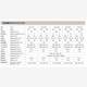 Fully automatic lathe Super large stamping machine TP model machine tool High-speed high-precision lathe Hardware tools