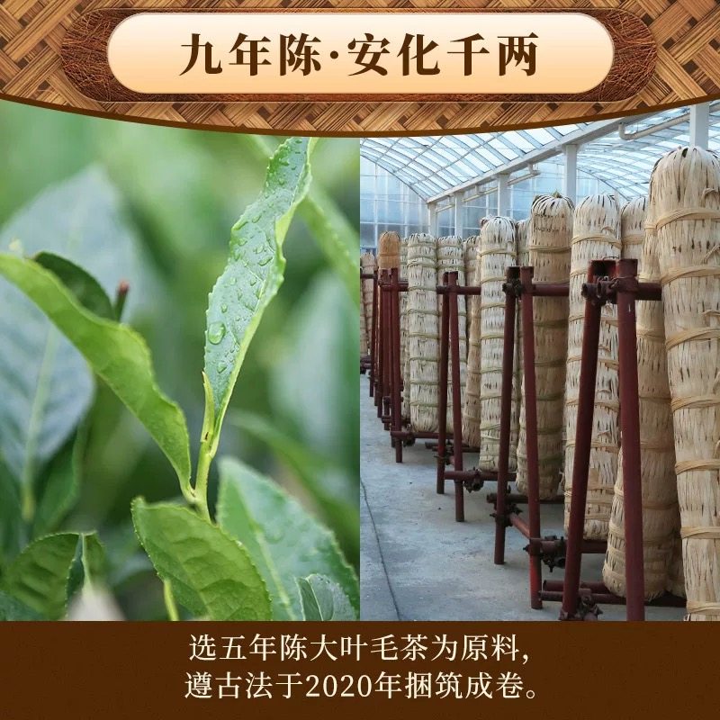 白沙溪 陈皮千两茶 （2020年压制成型）安化黑茶茶叶礼盒 600g/,淘宝优惠券,粉丝福利购,淘宝优惠卷